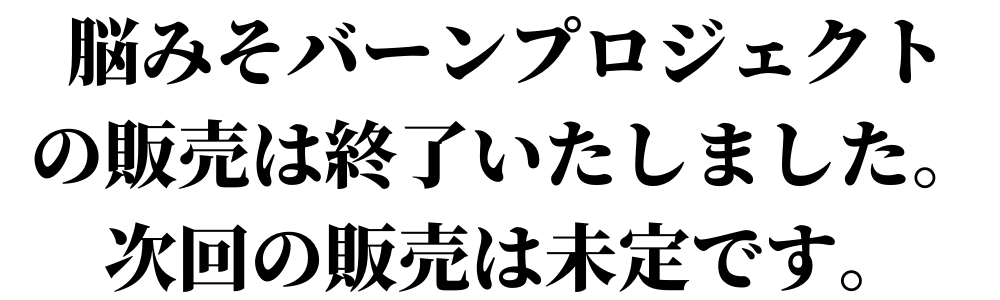 【販売終了】脳みそバーンプロジェクト